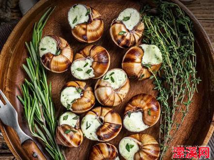 1714302874148.jpg 味觉的盛宴:探索法国蜗牛的独特魅力