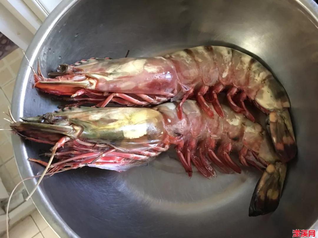 对虾两吃 对虾营养丰富，且其肉质松软，易消化，对身体虚弱以及病后需要调养的人是极好的食物。