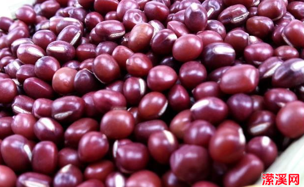 春吃豆、赛过肉！建议多吃8种春豆，高钙高蛋白，孩子也爱吃