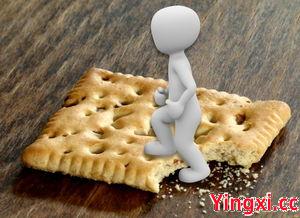 学做汉堡包技术全套视频,学做汉堡包技术全套