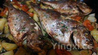 鲫鱼如何做好吃又简单,鲫鱼的做法大全家常菜