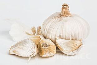 详细阅读:猪肚鸡煲怎么做好吃又好看,猪肚鸡煲的制作方法及配料 猪肚鸡煲怎么做好吃又好看,猪肚鸡煲的制作方法及配料