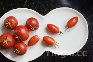 猪脚炖黄豆的做法,猪蹄炖黄豆怎么做好吃