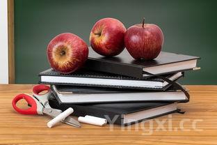 学做馒头的步骤,学做馒头教程