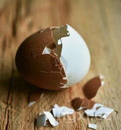 螃蟹的清蒸吃法，螃蟹的做法清蒸