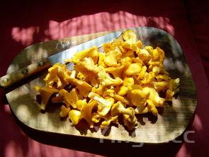 黄焖牛肉的做法最正宗的做法,黄焖牛肉的做法最正宗的做法视频