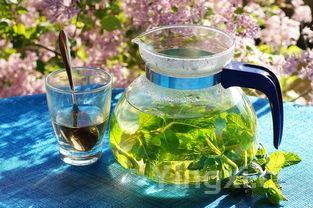 冬季白酒里泡啥好?这些食材让你暖身又享受独特风味