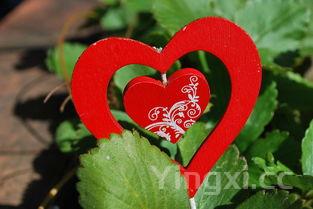 街边摊串串香的做法,摆摊串串香的做法