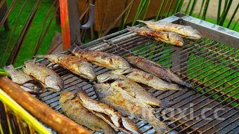 鲢鱼头汤的做法大全,鲢鱼头加豆腐怎么烧汤最好吃