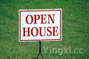 揭秘小白酒代理销售赚钱之道，掌握方法轻松开启财富大门