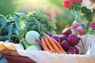 西瓜皮如何做才好吃,西瓜皮怎么做好吃又脆