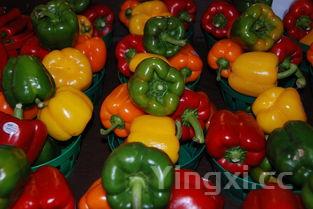 家常菜做法大全下载,家常菜做法大全视频学起来