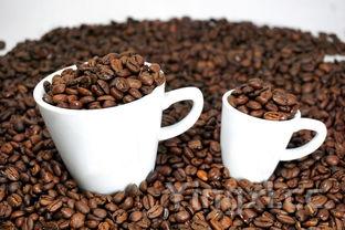 经典糖醋排骨的做法,经典糖醋排骨的做法视频