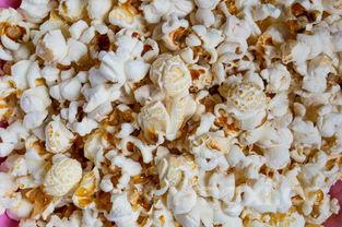 河蚌有什么作用？（河蚌的做法怎样做好吃）