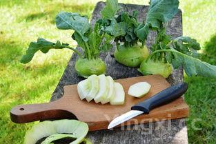 开水白菜成本多少钱，开水白菜多少钱一份