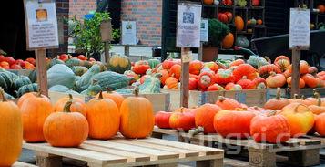 蔬菜名控味衣龙守室称大全500种,蔬菜名称大全（1000种蔬菜一览表）