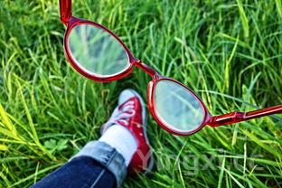 油麦菜和莴笋叶的区别，油麦菜