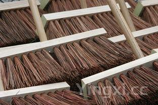 蛏子怎么清洗干净,蛏子怎么清洗干净图解