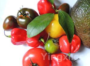 经典鲁菜菜谱大全,经典鲁菜菜谱大全