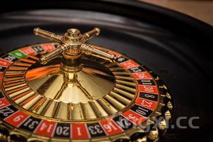 经典鲁菜菜谱大全,经典鲁菜菜谱大全