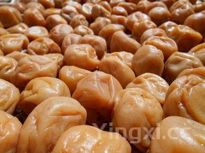 海参怎么煲汤,海参怎么煲汤最有营养