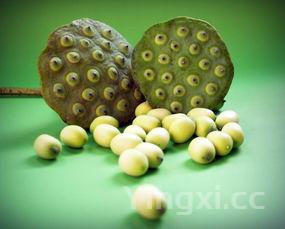 菠萝蜜籽能吃吗它有啥功效,菠萝蜜籽的食用禁忌