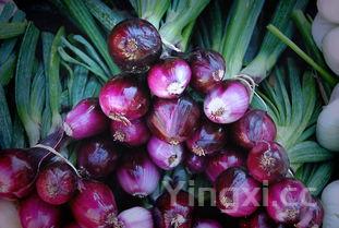 素炒茄子的家常做法,茄子怎么炒才好吃家常做法