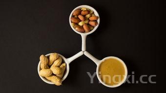 白酒基酒的诞生历程:探秘从原料到原酒的每一步酿造之路