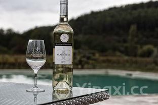 如何自制葡萄酒的酿造方法,如何自制葡萄酒