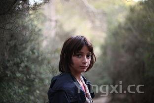 凉皮配料表,凉皮的配料表