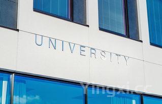 黄哈儿干锅鸭翅麻辣鲜香,刺激味蕾