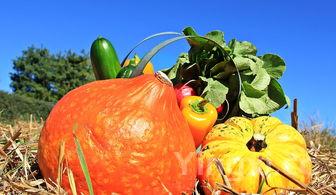 凉拌腐竹木耳，凉拌腐竹