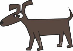 爆炒田鸡!,湖南爆炒田鸡的做法