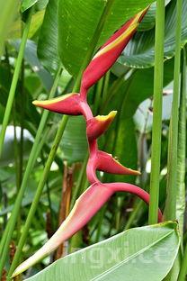 家常烧茄子，酱香浓郁，色香味俱全