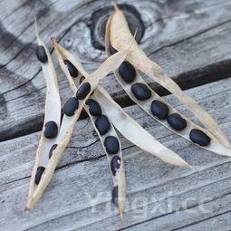 家常龙虾的做法,家常龙虾做法视频教程