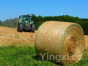 学做红烧肉的日记,学做红烧肉的