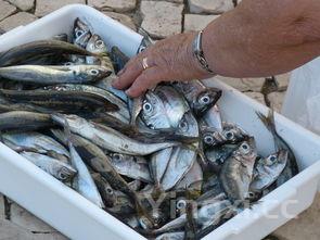 学做红烧肉的日记,学做红烧肉的