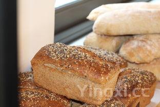 内蒙古奶皮子月饼制作过程，月饼制作过程