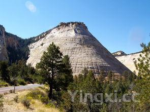 蒸螃蟹的正确方法教程,蒸螃蟹的做法 最正宗的做法