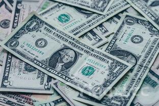 白凉粉怎么做,白凉粉怎么做的视频