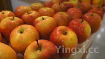 在家怎么做果冻,在家怎么做果冻好吃又简单视频绿皮桃子做