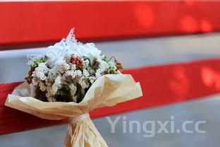 溜肉段家常做法,溜肉段家常做法秘诀