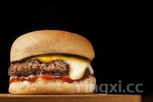 汉堡制作的方法,汉堡制作方法步骤