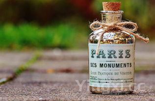 腌笃鲜的做法(腌笃鲜怎么读)