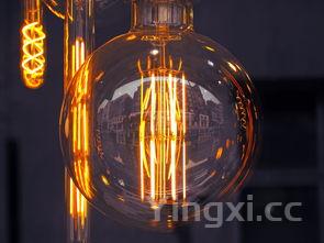 清炖牛肉的家常做法,清炖牛肉的做法及配料