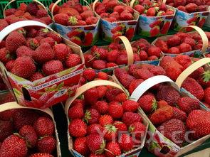 腊八蒜的做法?,腊八蒜的做法