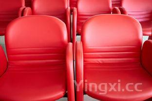 花卷的几种拧法,花卷怎么拧视频大全