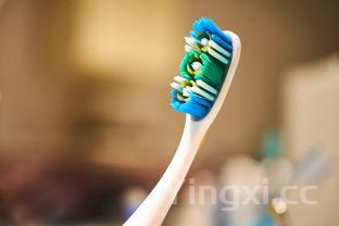 香菇青菜粥，香菇青菜