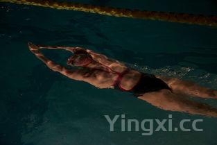 日常喝浓香白酒推荐,这些佳酿满足你的味蕾需求