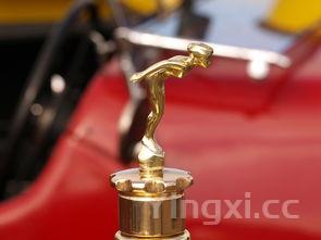 粉皮蘑菇炖鸡的做法,蘑菇炖鸡的做法